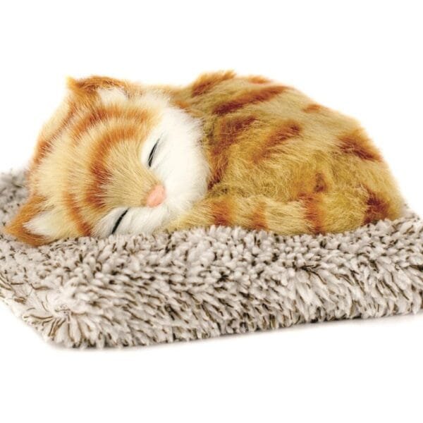 Car Dashboard Cute, Car Cute Cat Car Dashboard Toys Car Doll Plush Simulation Sleeping Cat Auto Interior Home Decor Furnishing Accessory (Cat) 23 x 18cm No Ratings